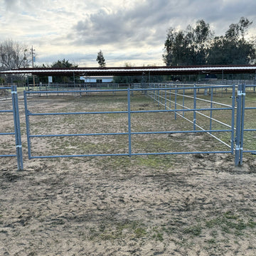 Standard Arena Swing Gate 4Ft X 12Ft (5-Rail) 14 Gauge - 0