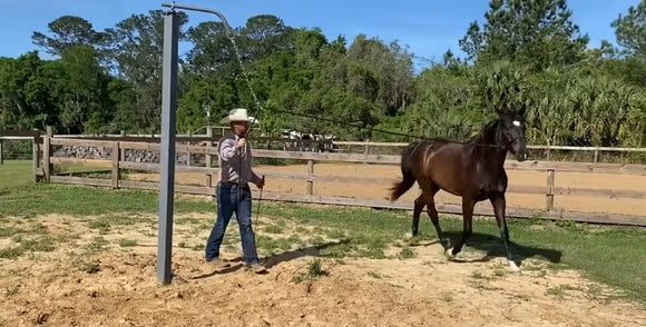 12ft Patience Pole 4x4 Square Tubing (11-Gauge) Powder Coated Dapple Grey